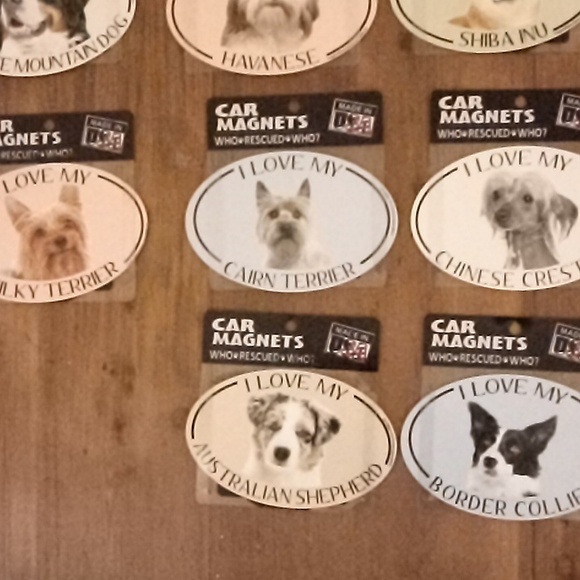 Pet car magnets please read description - Picture 7 of 7